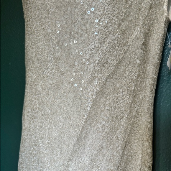 Cynthia Steffe Sequin Shift Dress w delicate details Sz 6/8 (NEW w TAG) - Picture 7 of 7